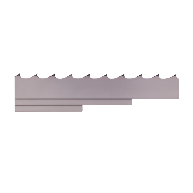 CINTA BANDA TORREY C-CBT3225/8-116 CBTT8-116